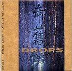 DEREK BAILEY / ANDREA CENTAZZO / DROPS