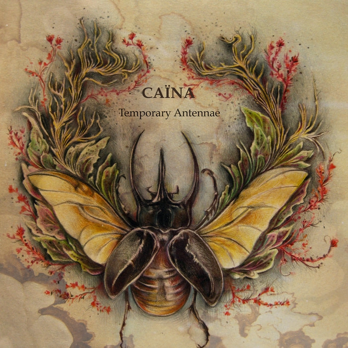 CAINA / TEMPORARY ANTENNAE<DIGI>