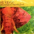 DJ KOZE / DJコーツェ / STOMPIN AT THE CLUBFOOT