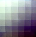DONNACHA COSTELLO / GRAPE
