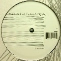 SUM AKA CARL FINLOW & D'JULZ / BEAT ROUTE