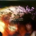 DAMIAN SCHWARTZ / PARTY LOVERS