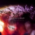 DAMIAN SCHWARTZ / PARTY LOVERS