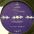 HENRY SAIZ / THIS HOWLING WORLD