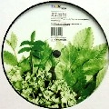 JONAS KOPP / VERDE ACIDO