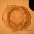 KLEINSCHMAGER AUDIO / クラインシュメイジャー・オーディオ / AUDIOLOGY