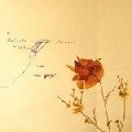 DAISUKE MIYATANI / DIARIO