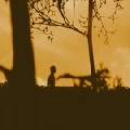 17 PICTURES / 17 PICTURES