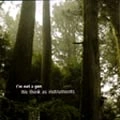 I'M NOT A GUN / WE THINK AS INSTRUMENTS