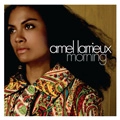AMEL LARRIEUX / アメール・ラリュー / MORNING
