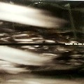 TROY PIERCE / GONE ASTRAY