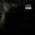 GAISER / BLANK FADE