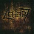LETTER 7 / FOLLOW THE LIGHT