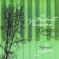 ROBERT NAVARRO / CAMINANDO VOL.1
