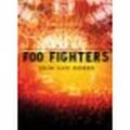 FOO FIGHTERS / フー・ファイターズ / SKIN AND BONES