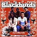 BLACKBYRDS / ブラックバーズ / LOVEBYRDS: SOFT & EASY
