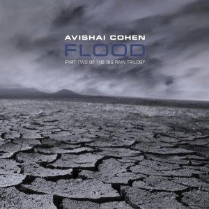 AVISHAI COHEN (TRUMPET) / アヴィシャイ・コーエン / FLOOD