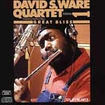 DAVID S WARE / デヴィッド・S・ウェア / GREAT BLISS,VOLUME 1