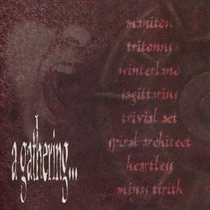 V.A. / オムニバス / GATHERING OF 8 NORWEGIAN PROG.METAL BANDS