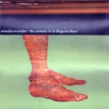 nine days wonder / SCENERY IS IN DISGUISE THERE(CD)