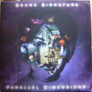 THEO PARRISH / セオ・パリッシュ / PARALLEL DIMENSIONS (LP)