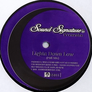 THEO PARRISH / セオ・パリッシュ / LIGHTS DOWN LOW