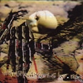 HOMICIDE HAGRIDDEN / WHERE ANGELS WORK
