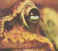TOAD / トード / TOAD