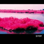 ORGANLANGUAGE / オーガンランゲージ / ORGANLANGUAGE EP3