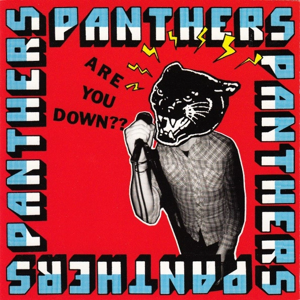 PANTHERS / パンサーズ / ARE YOU DOWN?? (LP)