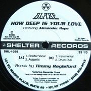 BLAZE / ブレイズ (HOUSE) / HOW DEEP IS YOUR LOVE