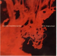 NITRO MEGA PRAYER:BLUE SKY RESEMBLE SORROW / SPLIT