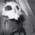STILL LIFE (PUNK) / スティルライフ / LIMITATIONS BOUNDARIES AND FAILURES