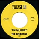 DELCORDS + DOGS / I'M SO SORRY / SOUL STEP