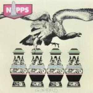 NIPPS aka DJ HIBAHIHI / ニップス aka DJヒバヒヒ / GOD BIRD