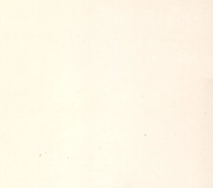 FRANCISCO LOPEZ / フランシスコ・ロペス / UNTITLED #91