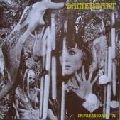 DAMENBART / IMPRESSIONEN '71