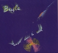 FRANCOIS BAYLE / フランソワ・ベイル / TOUPIE DANS LE CIEL