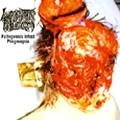 LYMPHATIC PHLEGM / PATHOGENESIS INFEST PHLEGMSEPSIA<DIGI>