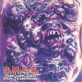S.M.E.S. / GOREGASMIC TALES FROM TECHNOPHOBIA(CD-R)