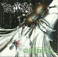 PIGSTY / SPIDERS