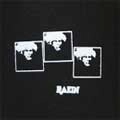RAEIN / IL N'Y A PAS DE ORCHESTRE
