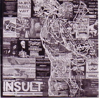 INSULT / インサルト / EMO BASHING FASTCORE PIMPS