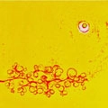都市レコード / 花と太陽