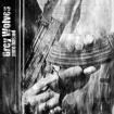 GREY WOLVES / グレイ・ウルヴス / PURE HATRED