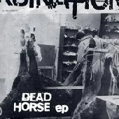 RUINATION / ルイネイション / DEAD HORSE EP