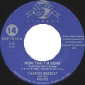 CHARLES BRADLEY AND THE BULLETS / NOW THAT I'M GONE + CAN'T STOP THINKING AB