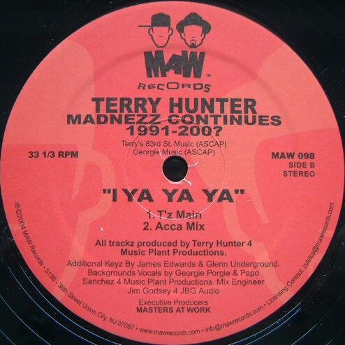 TERRY HUNTER / MADNEZZ CONTINUES 1991-200?