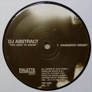 DJ ABSTRACT / YOU USED TO KNOW