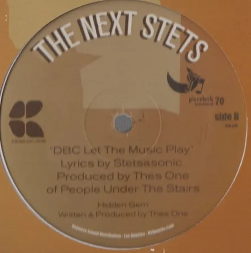 STETSASONIC / ステッツァソニック / SALLY (THES ONE REMIX)